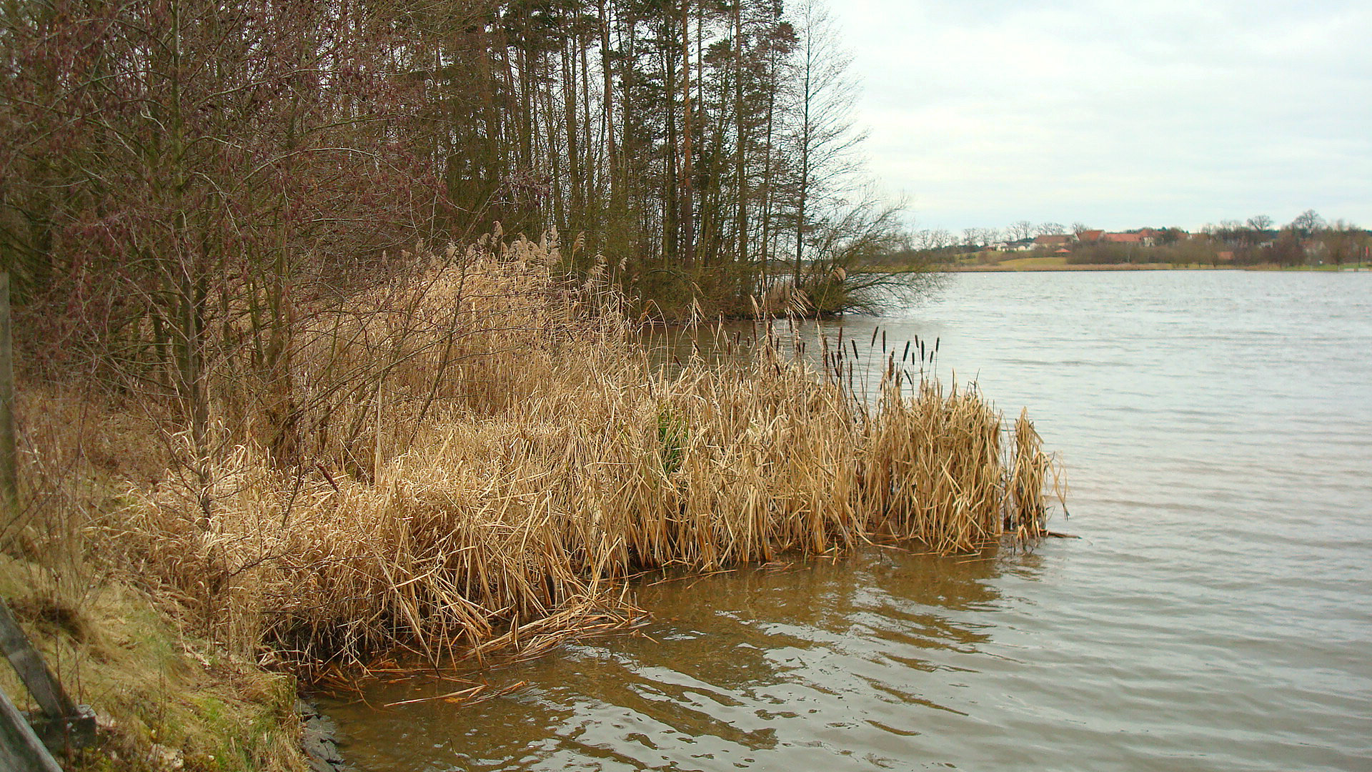 am kleinen Rothsee  