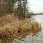 am kleinen Rothsee  