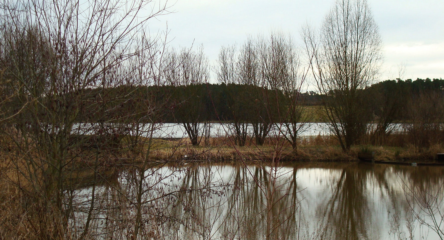 am kleinen Rothsee