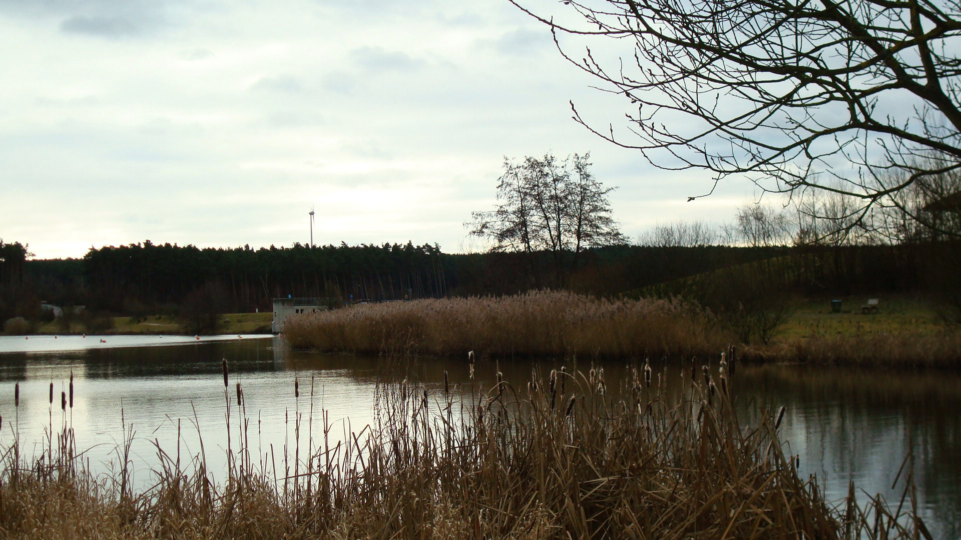 am kleinen Rothsee. 