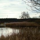 am kleinen Rothsee. 