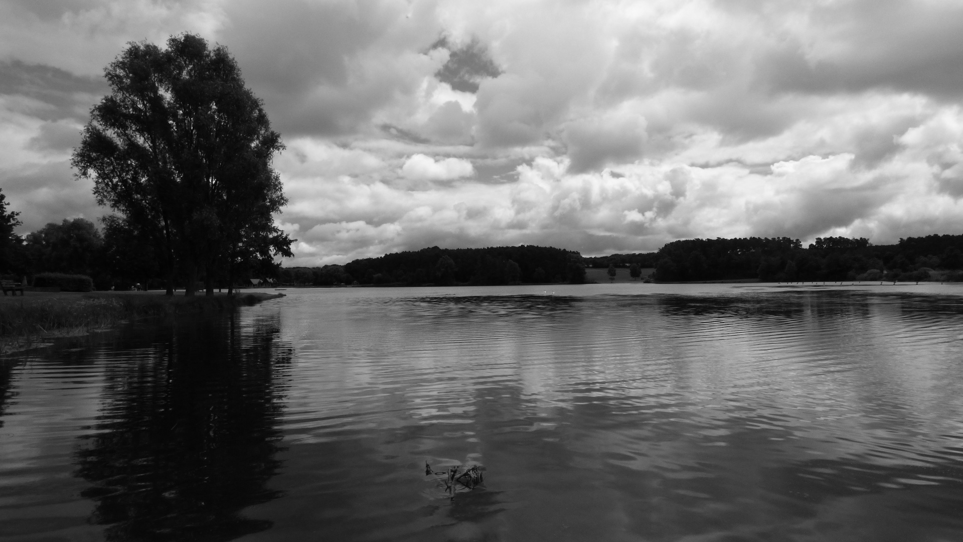 am kleinen Rothsee  