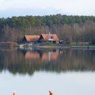 am kleinen Rothsee  