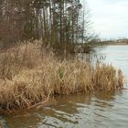 am kleinen Rothsee