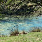 am kleinen See