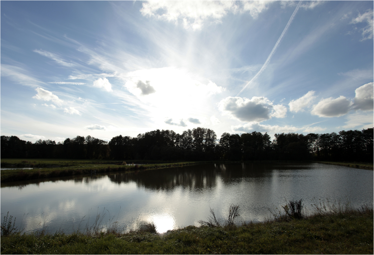 Am kleinen See