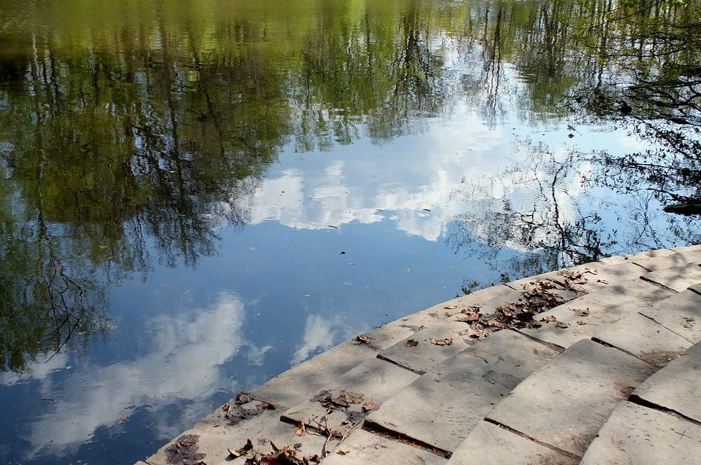 am kleinen See