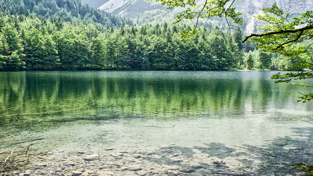 Am kleinen See