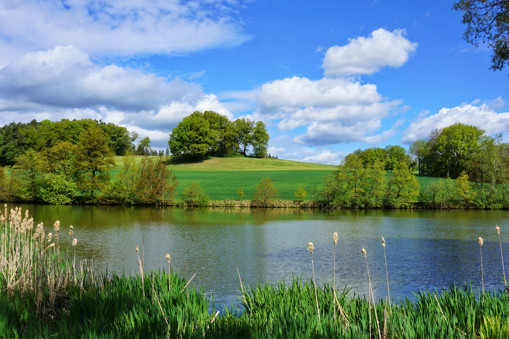 am kleinen See