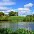 am kleinen See