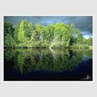 am kleinen See bei Börtnan