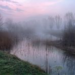 am kleinen See