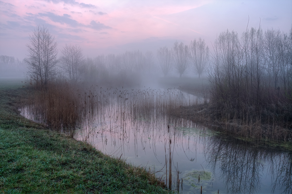 am kleinen See