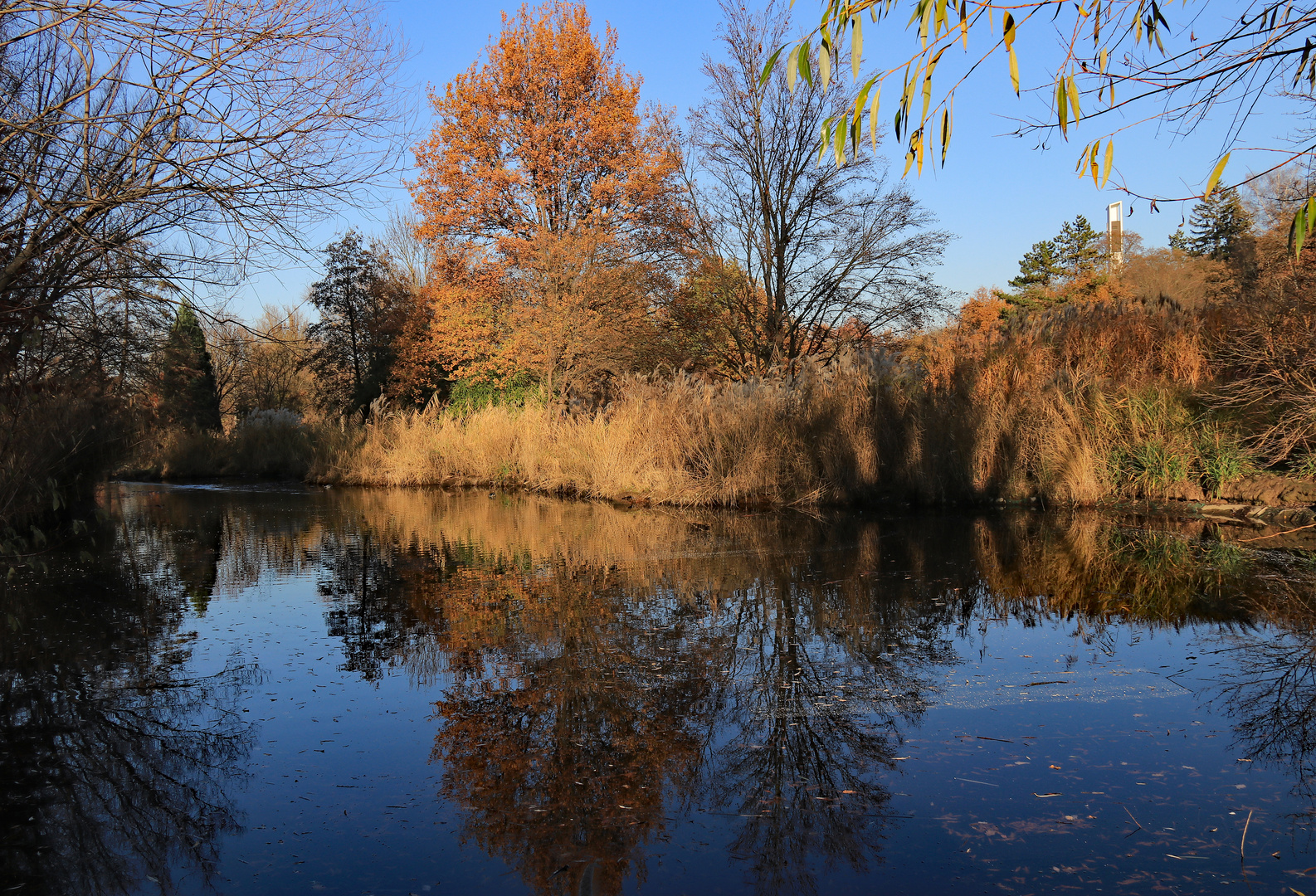 Am kleinen See