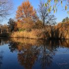 Am kleinen See