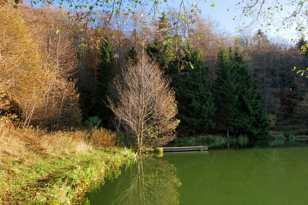 am kleinen Teich