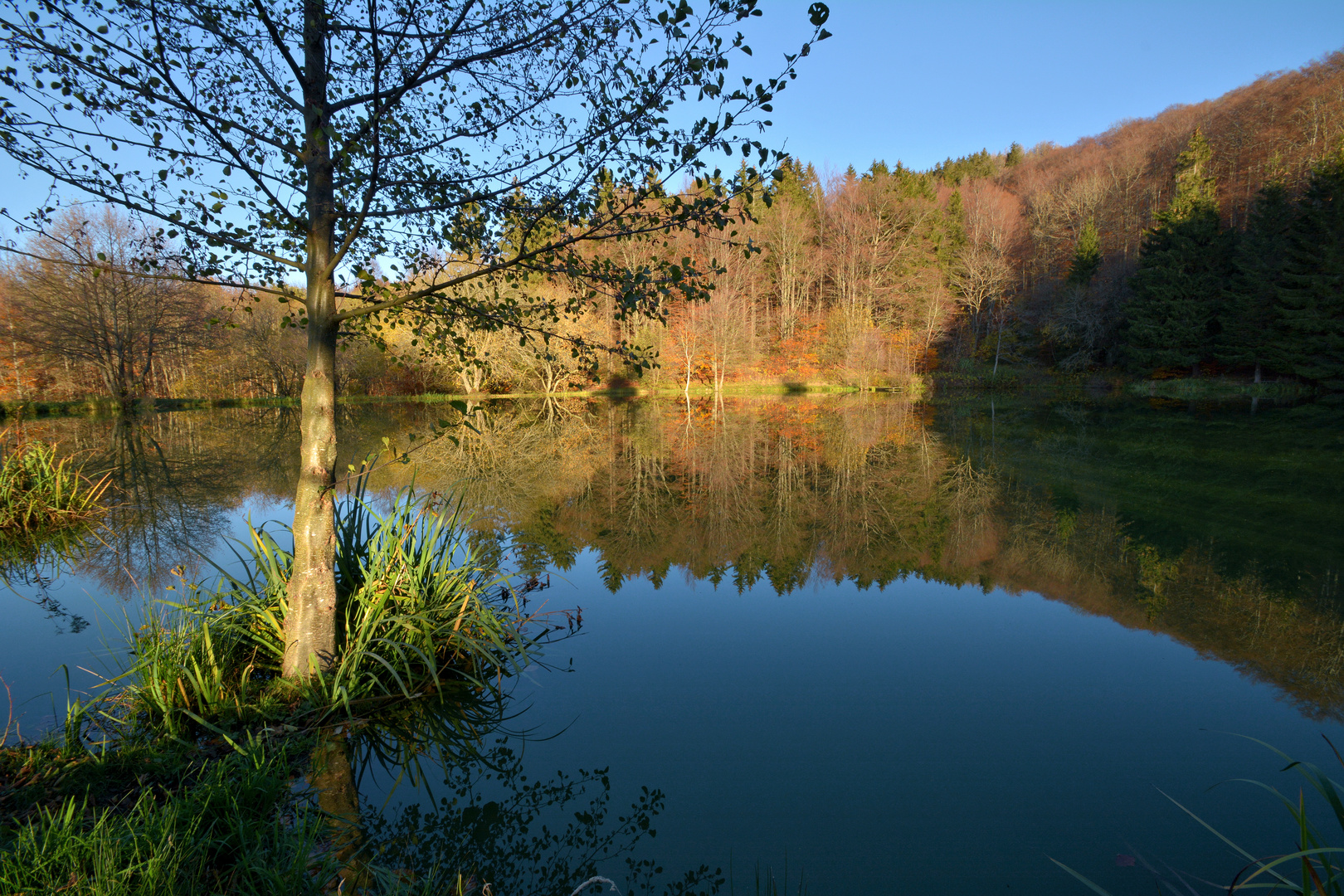 am kleinen Teich