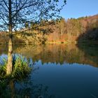 am kleinen Teich