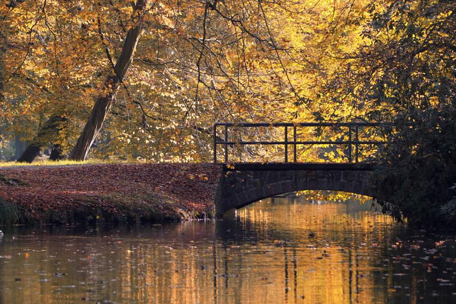 Am kleinen Teich (2)