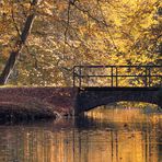 Am kleinen Teich (2)