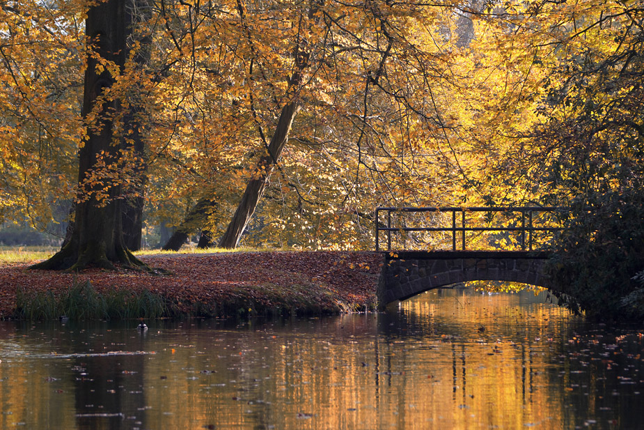 Am kleinen Teich (3)