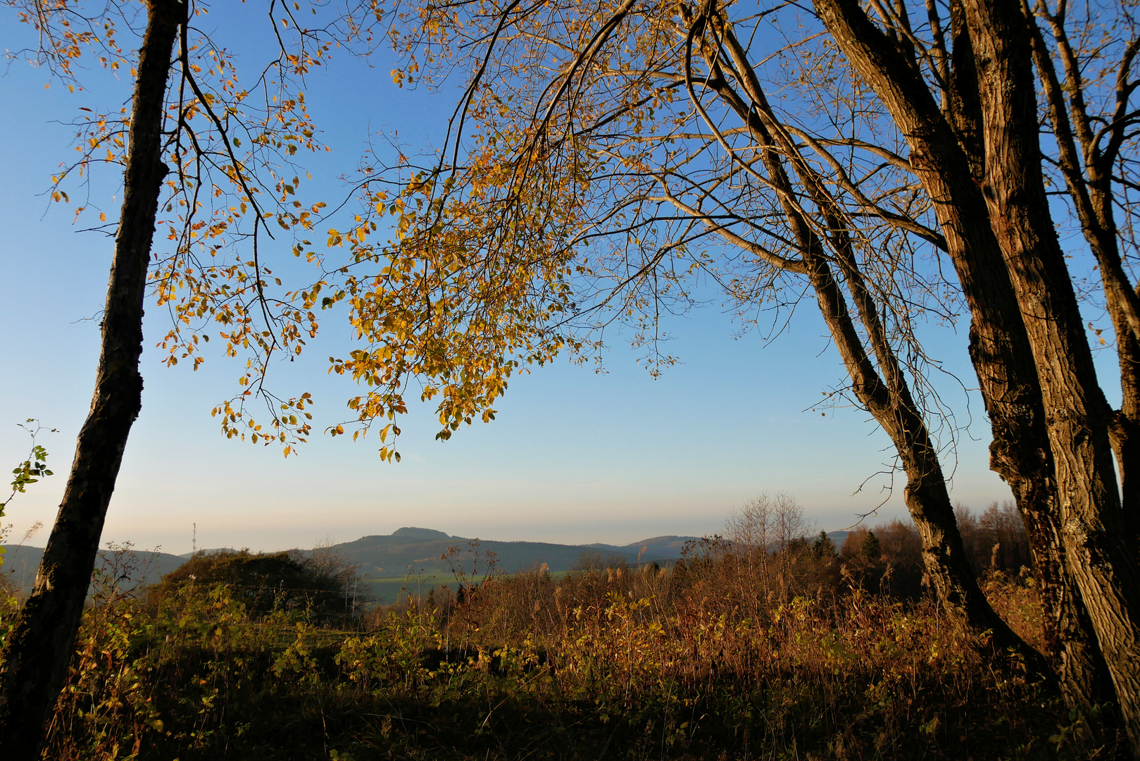 am kleinen Teich