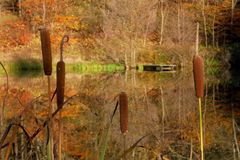 am kleinen Teich