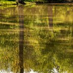 Am kleinen Teich