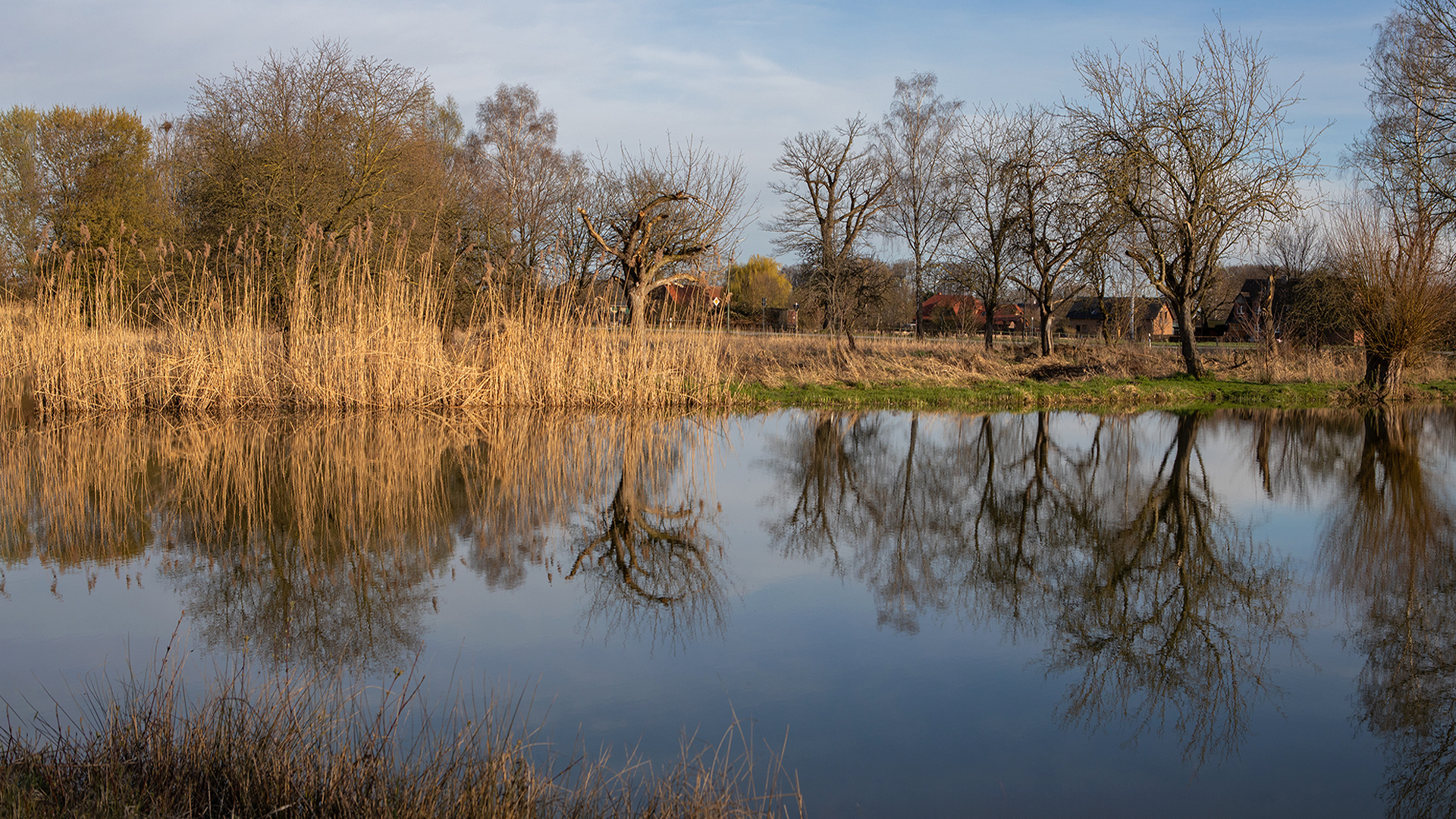 Am kleinen Teich