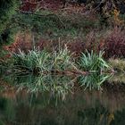 am kleinen Teich