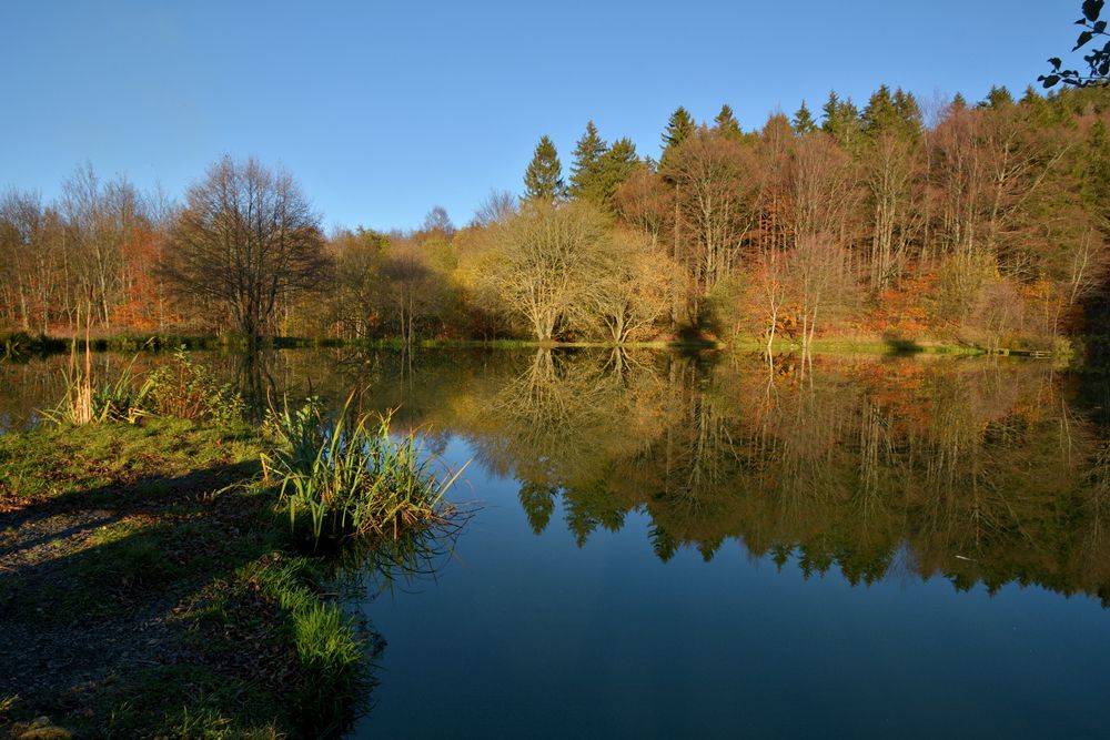 am kleinen Teich