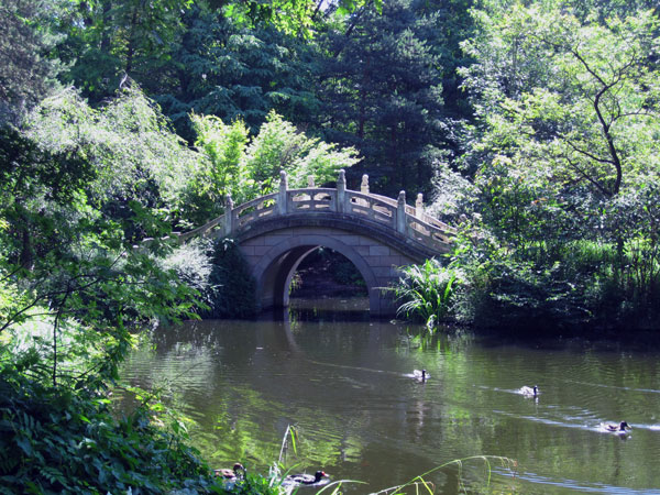 Am kleinen Teich....