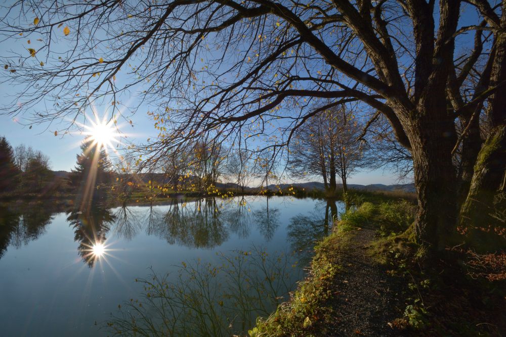 am kleinen Teich