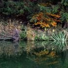 am kleinen Teich