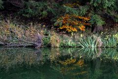 am kleinen Teich