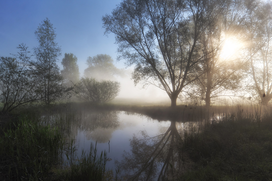 Am kleinen Teich Foto & Bild nebelstimmungen, wetter, landschaft