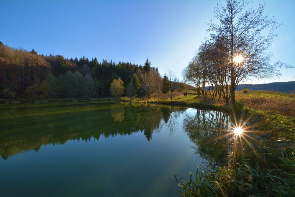 am kleinen Teich