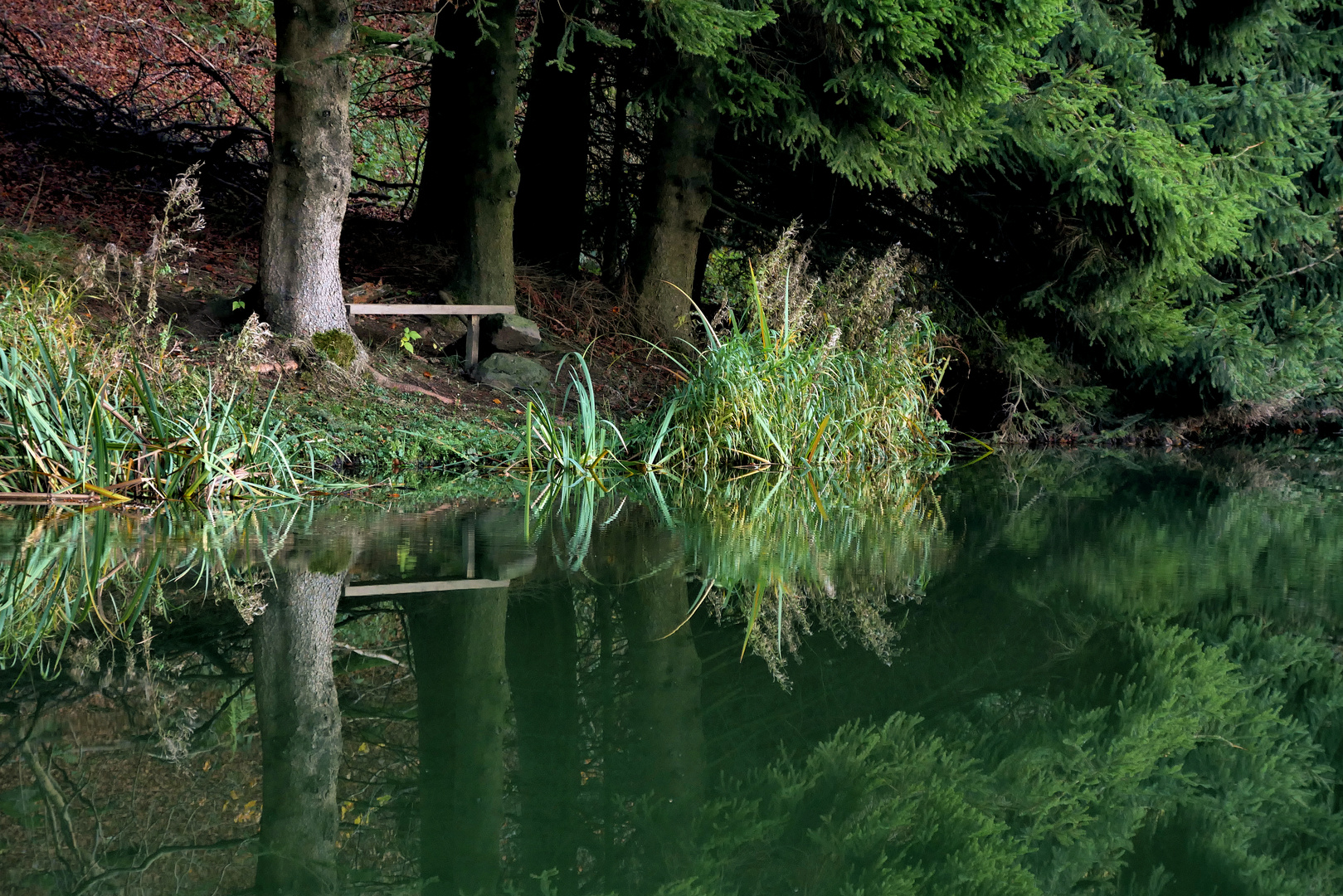 am kleinen Teich Foto & Bild rhön, teich, natur Bilder auf