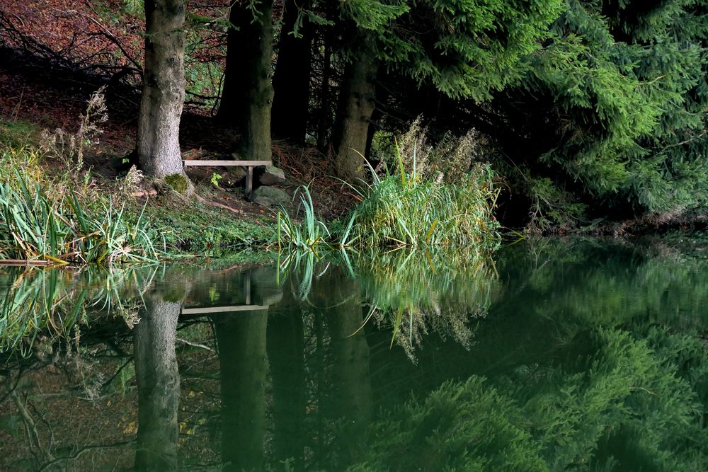 am kleinen Teich Foto & Bild rhön, teich, natur Bilder auf