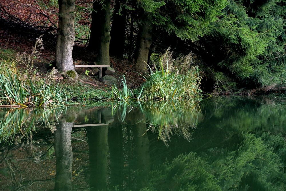 am kleinen Teich