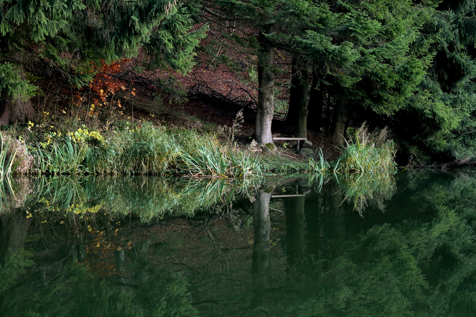 am kleinen Teich