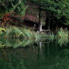 am kleinen Teich