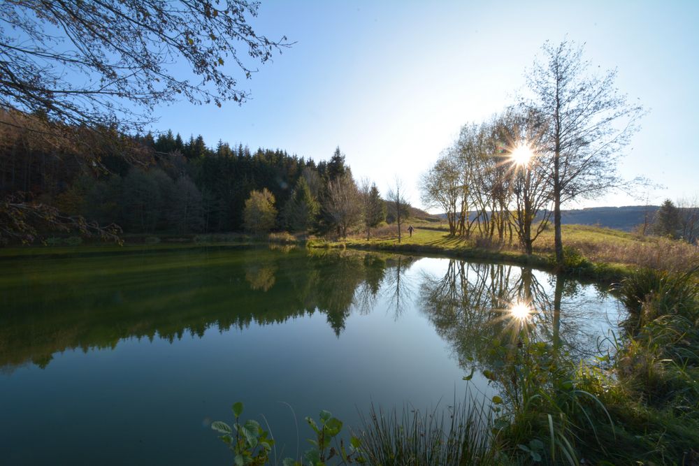 am kleinen Teich