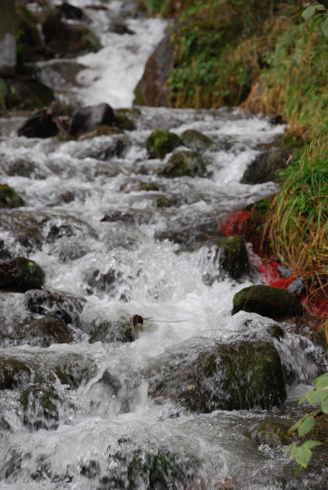 am kleinen Wasserfall