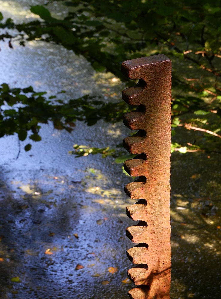 Am kleinen Wehr . . .