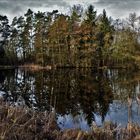 Am kleinen Weiher