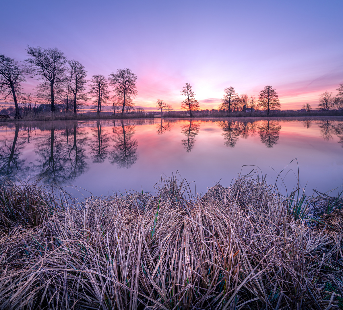 Am kleinen Weiher