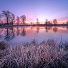 Am kleinen Weiher