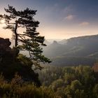 Am kleinen Winterberg