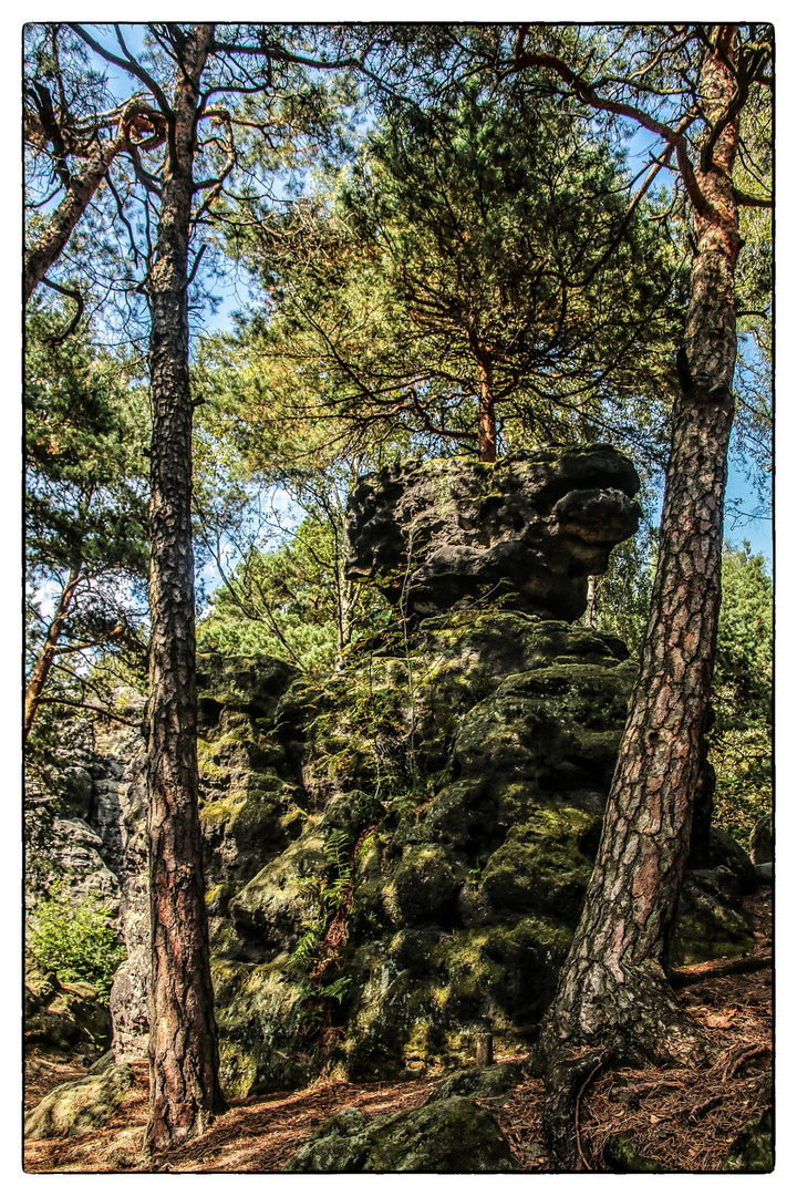 Am Kleinhennersdorfer Stein (2)